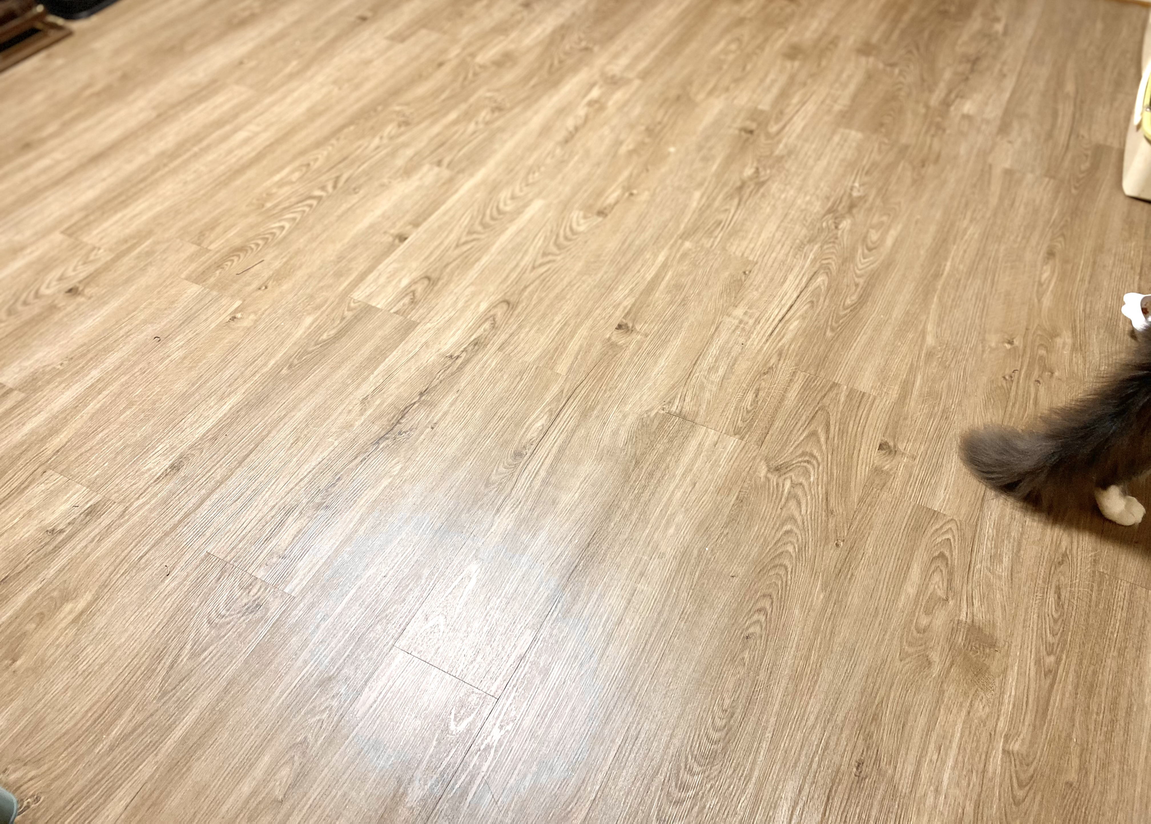 大型犬が傷めた床の張替工事